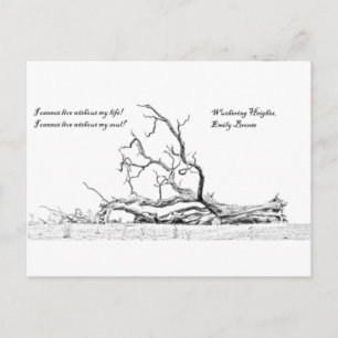 Cannot Live Without My Soul Wuthering Heights Postcard