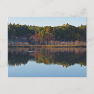 Canoe Calm - Whitney Pond Postcard