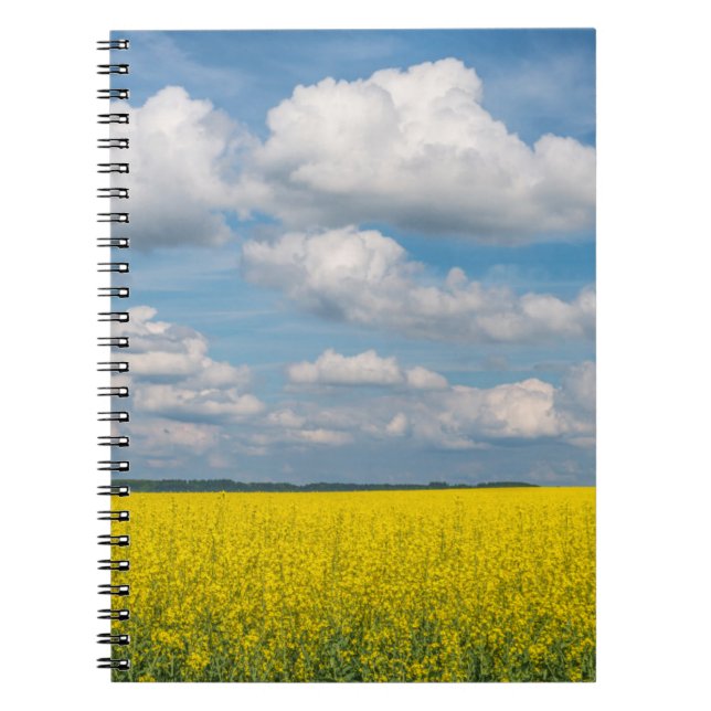 Canola Field & Clouds Notebook (Front)