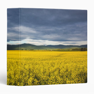 Canola field in morning light in the Flathead Binder