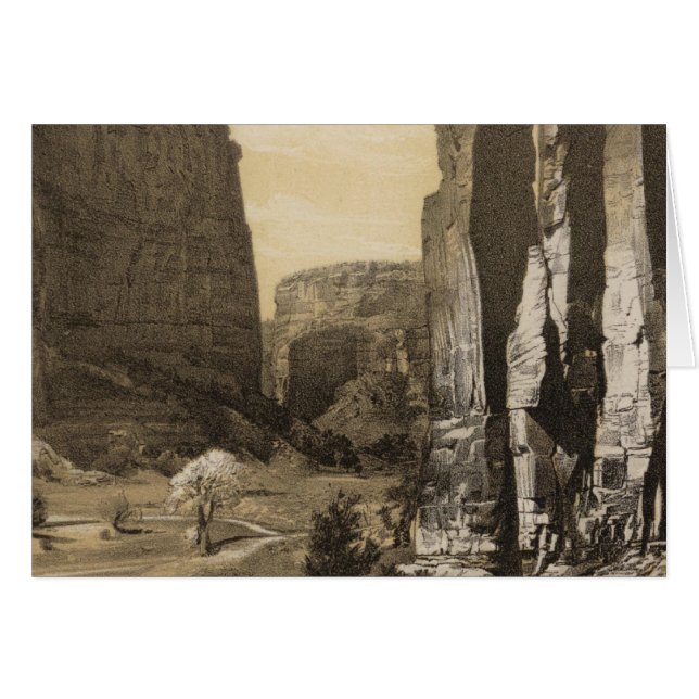 Canon de Chelle, NM (Devant horizontal)