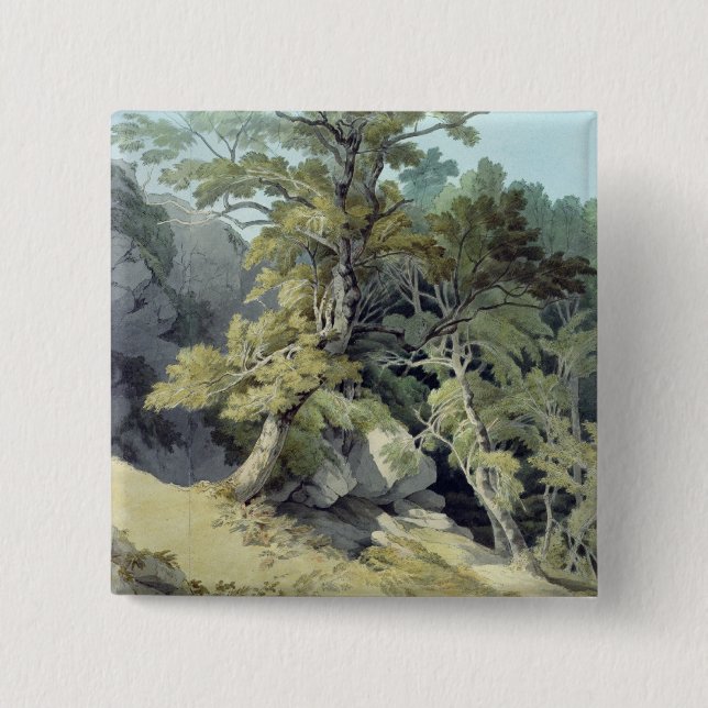 Canonteign, Devon 2 Inch Square Button (Front)