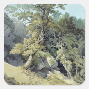 Canonteign, Devon Square Sticker