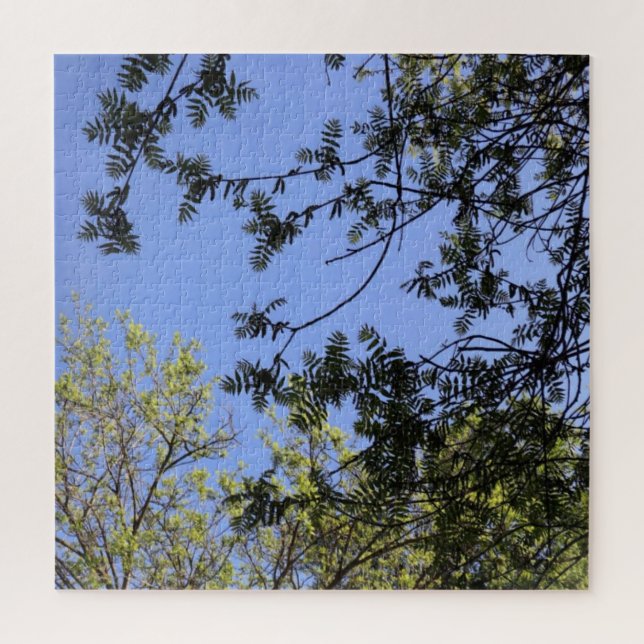 Canopy of Confusion Puzzle (Vertical)