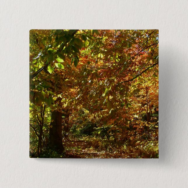 Canopy of Fall Leaves II Yellow Autumn Photography 2 Inch Square Button (Front)