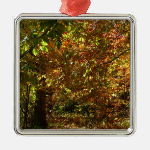 Canopy of Fall Leaves II Yellow Autumn Photography Metal Ornament