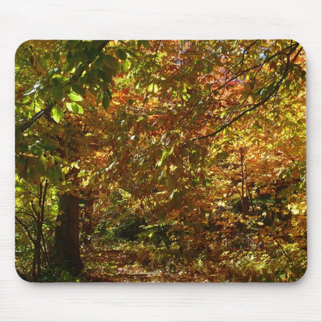 Canopy of Fall Leaves II Yellow Autumn Photography Mouse Pad (Front)