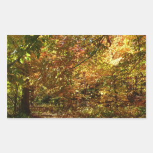 Canopy of Fall Leaves II Yellow Autumn Photography Sticker