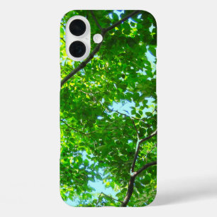 Canopy of Green, Leafy Branches with Blue Sky    iPhone 16 Plus Case