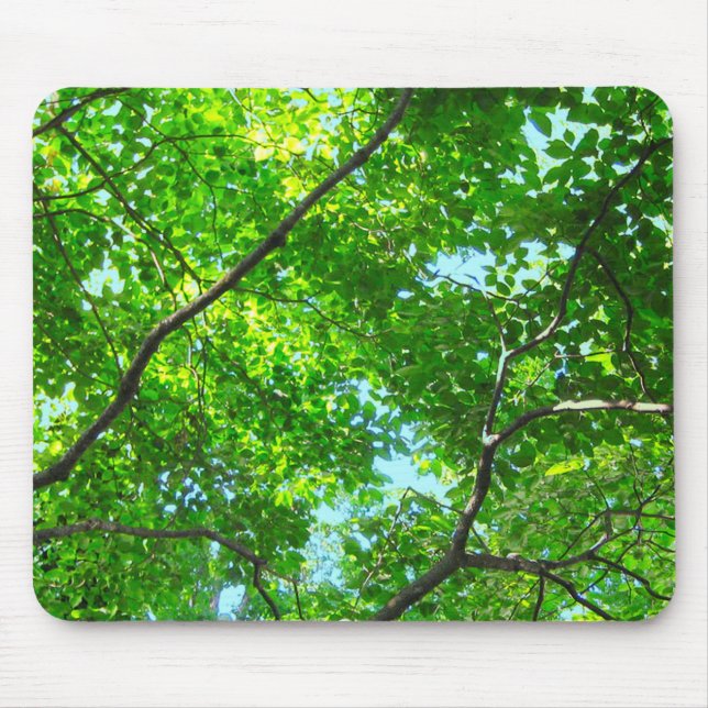 Canopy of Green, Leafy Branches with Blue Sky    Mouse Pad (Front)