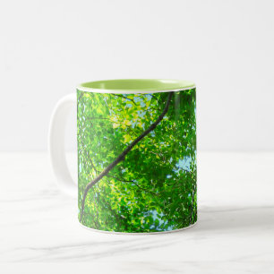 Canopy of Green, Leafy Branches with Blue Sky Two-Tone Coffee Mug
