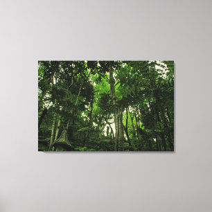Canopy of Lushness @ Madeira Portugal Wrapped Canv Canvas Print