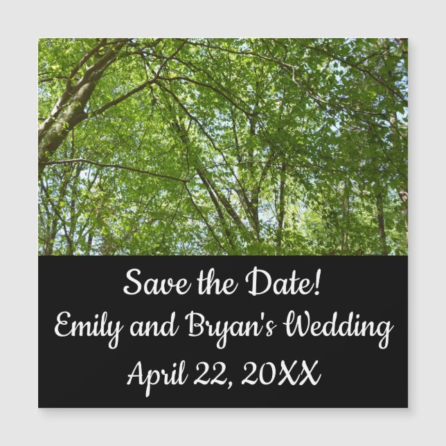 Canopy of Spring Leaves Green Nature Scene (Front)