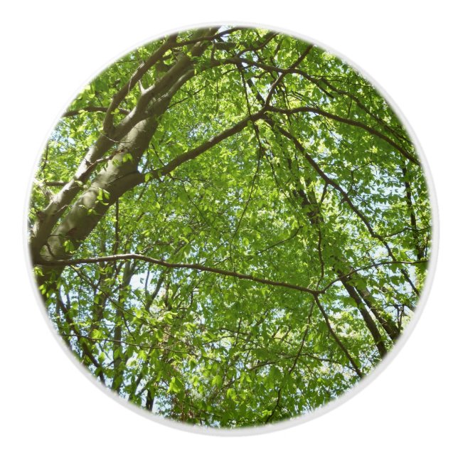 Canopy of Spring Leaves Green Nature Scene Ceramic Knob (Front)