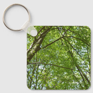 Canopy of Spring Leaves Green Nature Scene Keychain