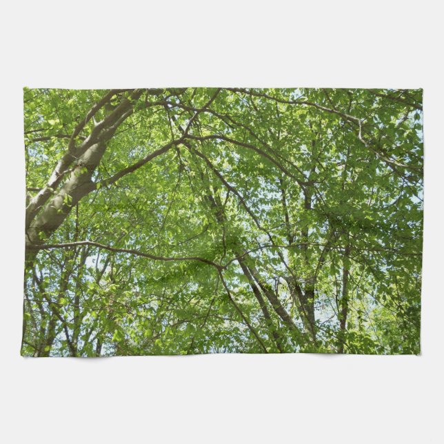 Canopy of Spring Leaves Green Nature Scene Kitchen Towel (Horizontal)