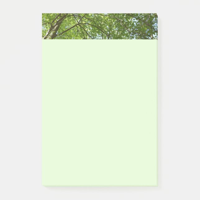 Canopy of Spring Leaves Green Nature Scene Post-it Notes (Front)