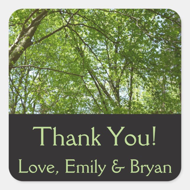 Canopy of Spring Leaves Green Nature Scene Square Sticker (Front)
