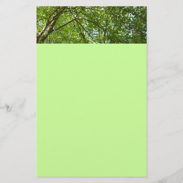 Canopy of Spring Leaves Green Nature Scene Stationery (Front)