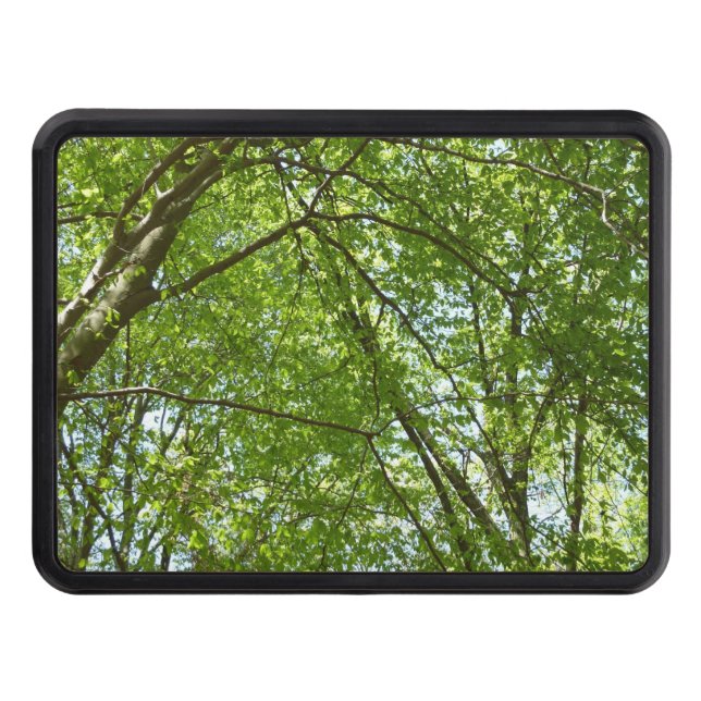 Canopy of Spring Leaves Green Nature Scene Trailer Hitch Cover (Front)