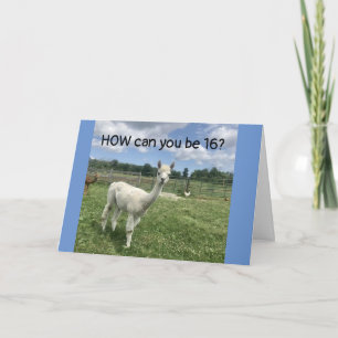 CAN'T BELIEVE YOU ARE CELEBRATING "16th" BIRTHDAY  Card