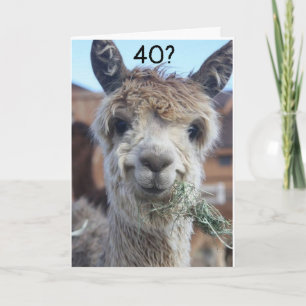 CAN'T BELIEVE YOU ARE CELEBRATING "40th" BIRTHDAY Card