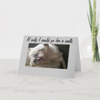 CAN'T GO FOR A WALK-TOO SAD