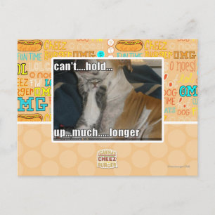 Can't Hold Up Much Longer Postcard