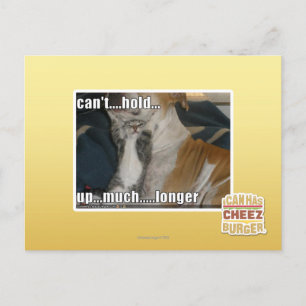 Can't Hold Up Much Longer Postcard