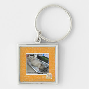 Can't respond keychain