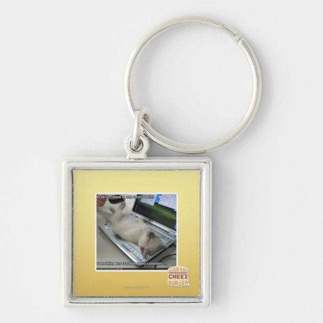 Can't respond keychain (Front)