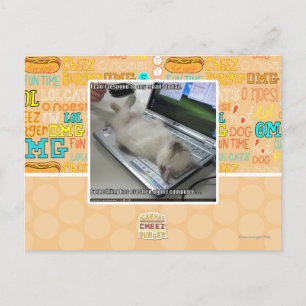 Can't respond postcard