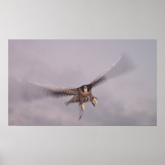 Can't Stop The Thunder... Poster