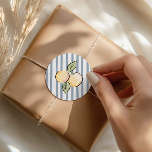 Can't Wait to Squeeze You Citrus Baby Shower Classic Round Sticker