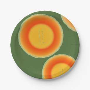 Cantalope Cantaloupe Paper Plates Fruit Plates