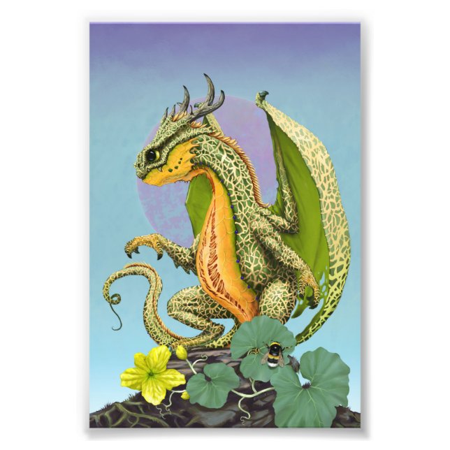 Cantaloupe Dragon 4x6 Print (Front)