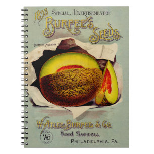 Cantaloupe Seed Advertising Antique Art Notebook
