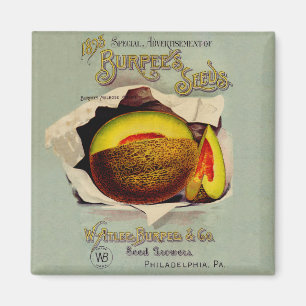 Cantaloupe Seed Advertising Art Antique Magnet