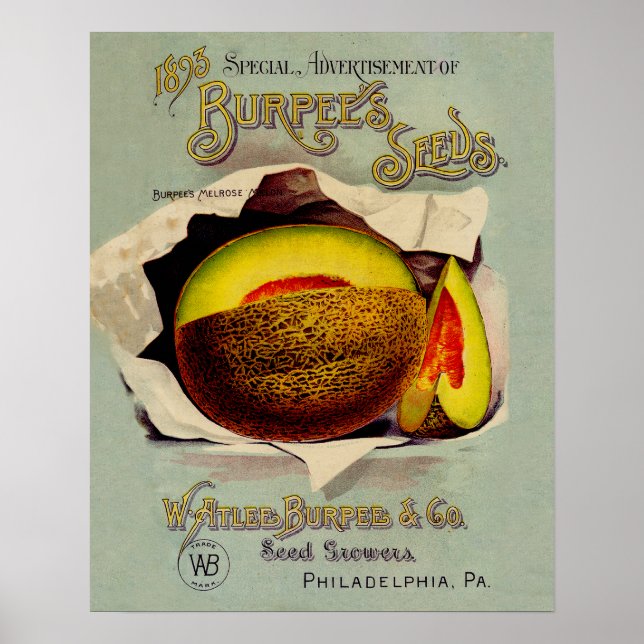 Cantaloupe Seed Advertising Art Antique Poster (Front)