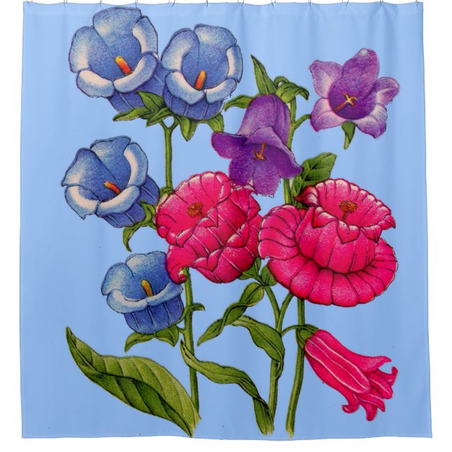 Canterbury bell flowers print (Front)