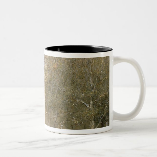 Canterbury Cathedral Two-Tone Coffee Mug (Right)