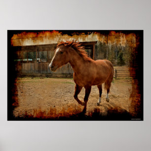 Cantering Sorrel Horse Comes Home to the Barn Poster
