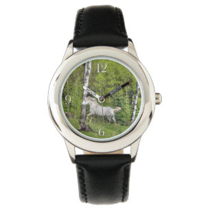 Cantering White Horse Equine Photo 2 Watch