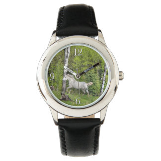 Cantering White Horse Equine Photo 2 Watch
