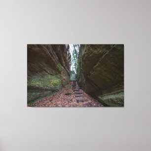 Cantwell Cliffs, Hocking Hills State Park, Ohio Canvas Print
