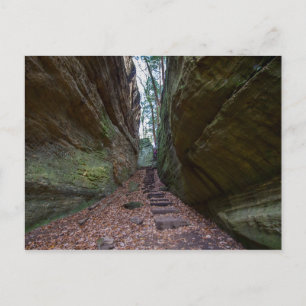 Cantwell Cliffs, Hocking Hills State Park, Ohio Postcard