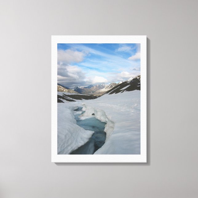 Canvas Art-Alaska Print (Front)