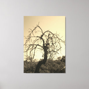 CANVAS ART AND DESIGN STYLE