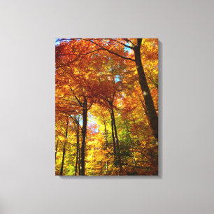 Canvas Art-Autumn Trees