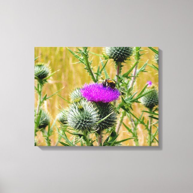 Canvas Art Bee on Thistle (Front)